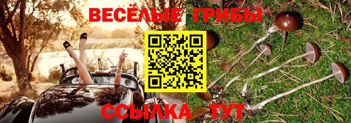 Галлюциногенные грибы Magic Shrooms  Псилоцибиновые грибы GOLDEN TEACHER  Горячий Ключ 