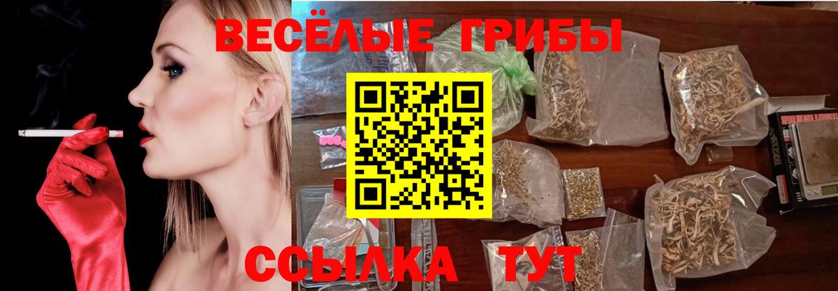 Псилоцибиновые грибы ЛСД  Псилоцибиновые грибы прущие грибы  Горячий Ключ  Вход с VPN 
